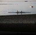 Comen Cup 2009 096